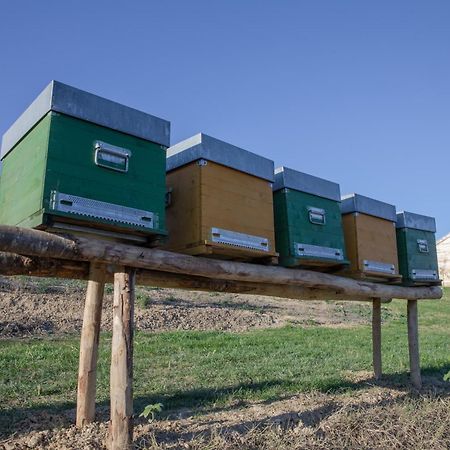 Cascina Rueral Villa Montafia Eksteriør bilde